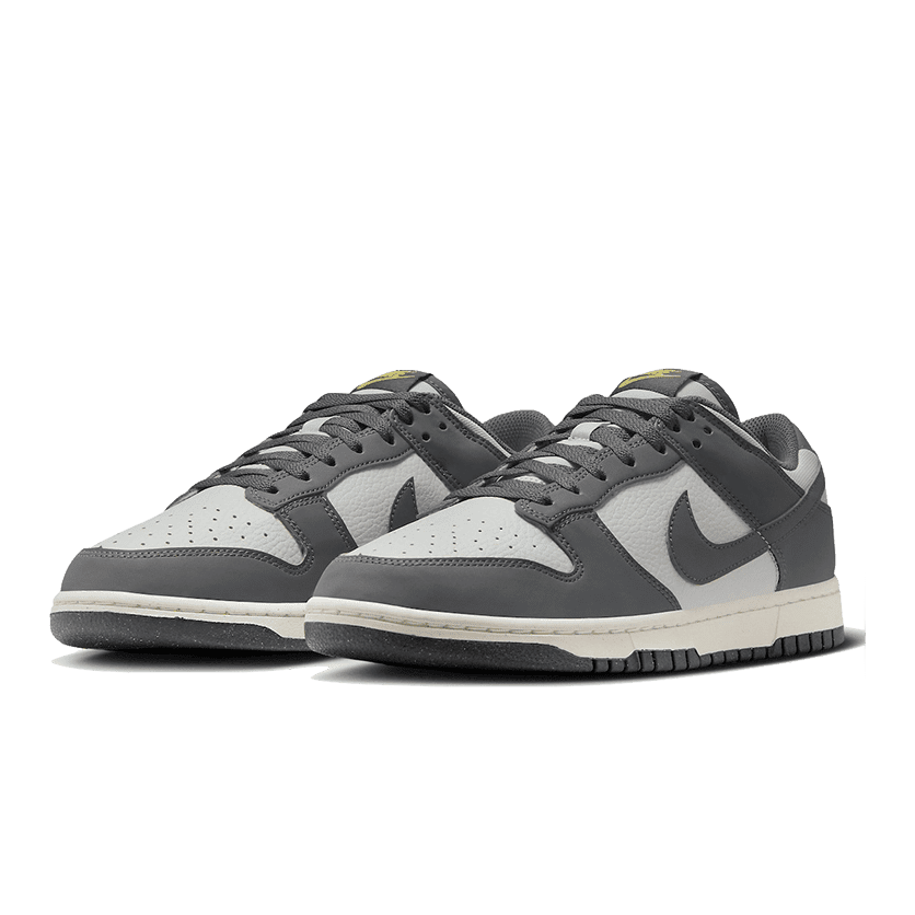 Nike Dunk Low Next Nature Iron Grey Lightning - Sportieve sneakers in grijs en wit met opvallende details