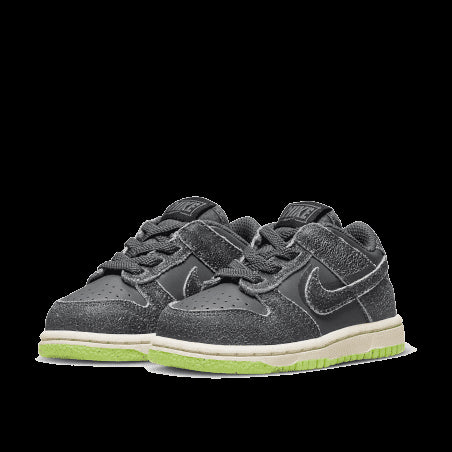 Nike Dunk Low Swoosh Shadow Iron Grey Bébé (TD) - Stoere sneakers in grijze tinten met een vertrouwde Nike-Swoosh, perfect voor de allerkleinsten.