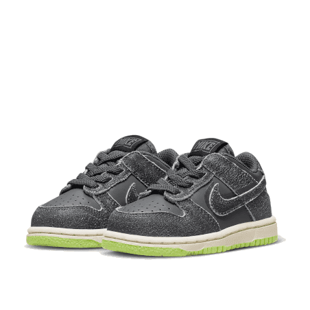 Nike Dunk Low Swoosh Shadow Iron Grey Bébé (TD) - Stoere sneakers in grijze tinten met een vertrouwde Nike-Swoosh, perfect voor de allerkleinsten.