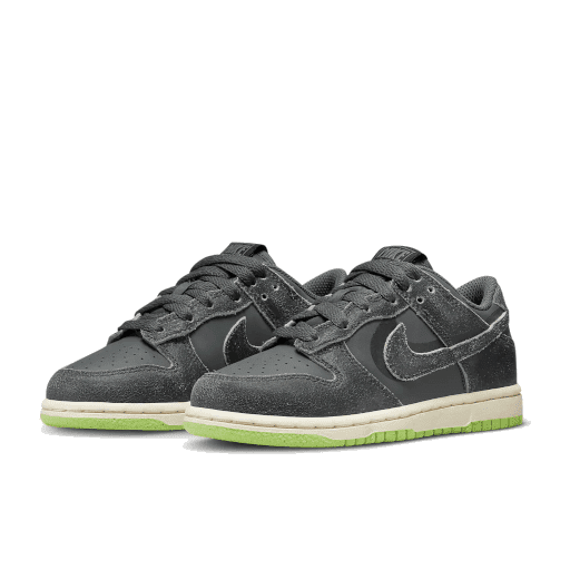 Nike Dunk Low Swoosh Shadow Iron Grey Enfant (PS) - Klassieke grijze sneakers met het iconische Nike-Swoosh-logo op een groene achtergrond.